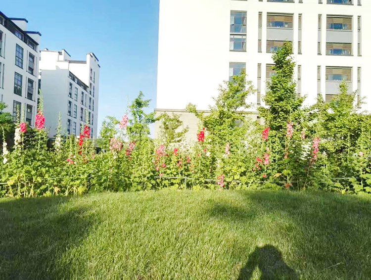 世碩電子（昆山）有限公司